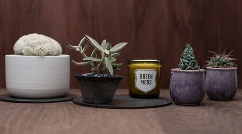 テーブルグリーン -1-  秋のテーブルにオススメ  個性派サボテン＆多肉植物