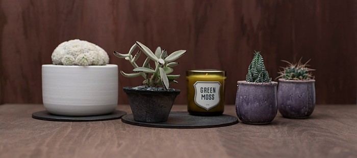 テーブルグリーン -1-  秋のテーブルにオススメ  個性派サボテン＆多肉植物