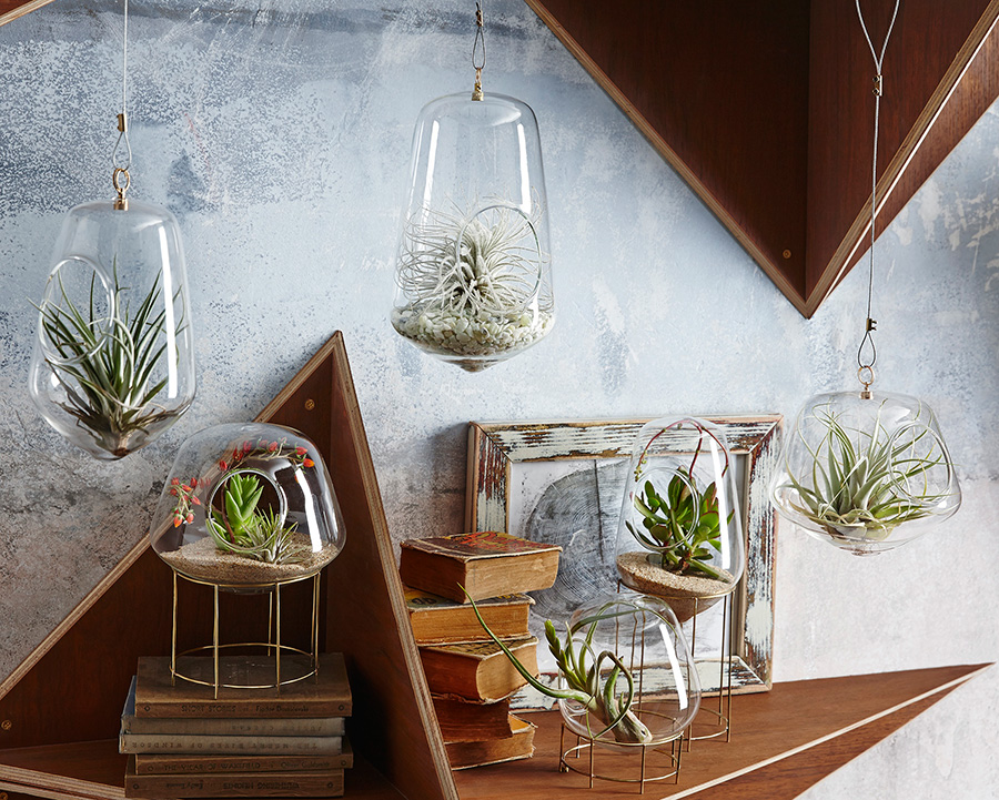 テラリウム −2−植物をオシャレに見せるガラスの中の小さなガーデン Interior 100LiFE