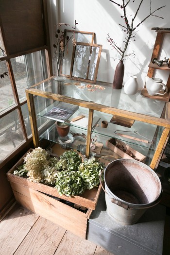 仁平古家具店で購入したショーケースを中心に、アンティークの小物や植物を飾る。
