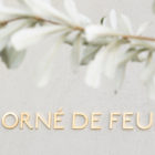 Orné de Feuilles 新しいオルネ ド フォイユは、 テーマによって変化する実験店舗